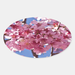 Adesivo Oval Sakura Flores de Cerejeira Estrelas Vermelhas