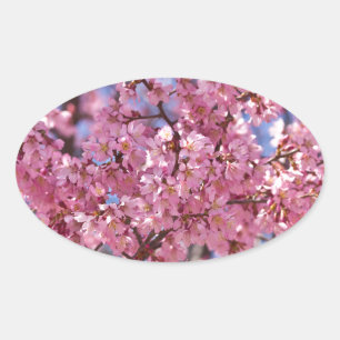 Adesivo Oval Sakura Pink Chersom Sky