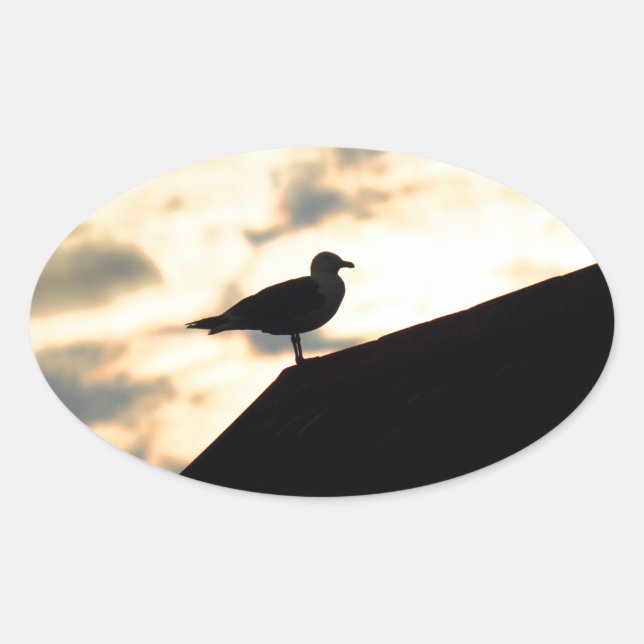 Adesivo Oval Sea Gull Sunset (Frente)