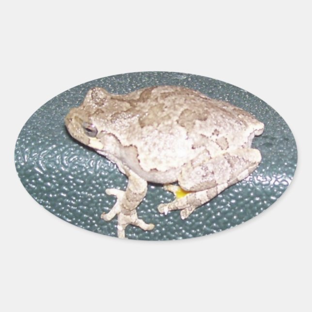 Adesivo Oval Sentindo-se Rã! (Frente)