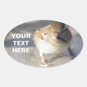 Adesivo Oval Sobrevivência Do Fittest