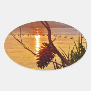 Adesivo Oval Sol do Lago Pinecone