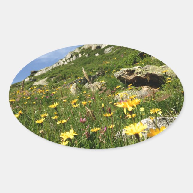 Adesivo Oval Solte a sua imaginação! Flores alpinas (Frente)