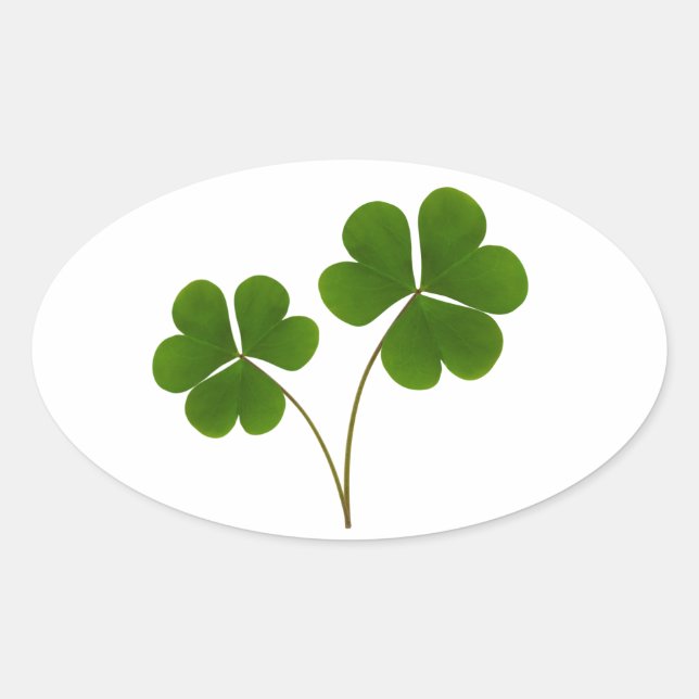 Adesivo Oval Sorte (Frente)