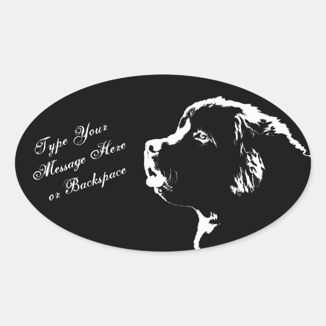 Adesivo Oval Stickers New-land (Frente)