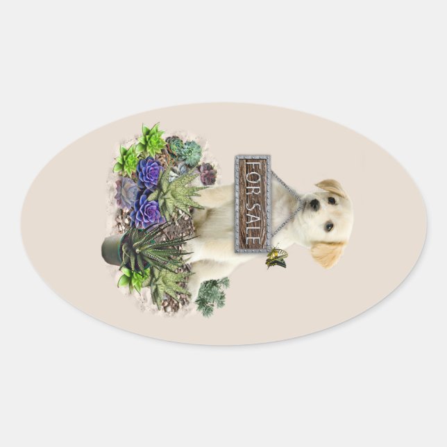 Adesivo Oval Suculentes à venda (Frente)