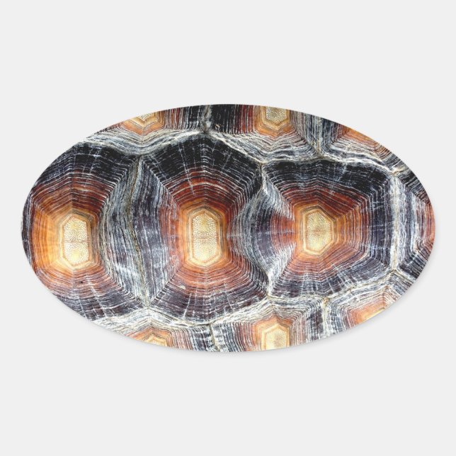 Adesivo Oval Sulcata Tortoise Shell Sticker (Frente)