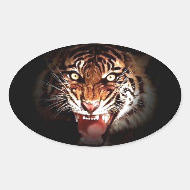 Adesivo Oval Sumatran Tiger (Frente)