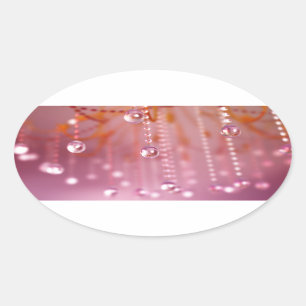 Adesivo Oval Sunset em Crystal Stickers