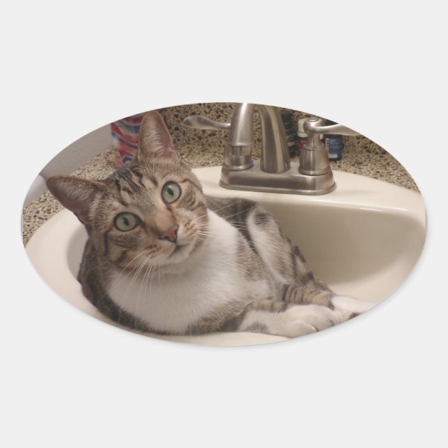 Adesivo Oval Tabuleiro de Gato com Coletor de Rosa (Frente)