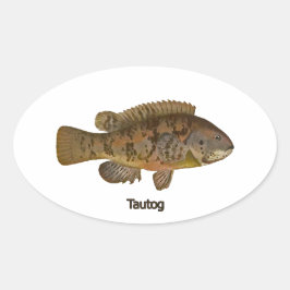 Adesivo Oval Tautog (peixe negro)