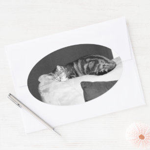 Adesivo Oval Tempo da sesta para o índigo