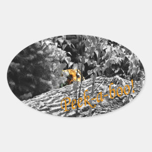 Adesivo Oval Tiger Peek-a-boo Sticker