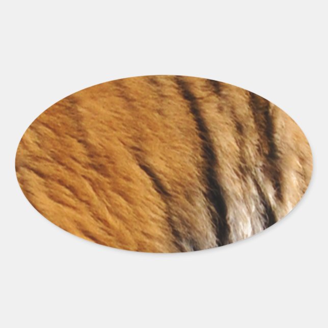 Adesivo Oval Tigre-Stripes-Big Cat Wildlife (Frente)