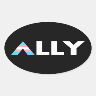 Adesivo Oval Transgênero LGBT Transgênero Trans Ally LGBTQ