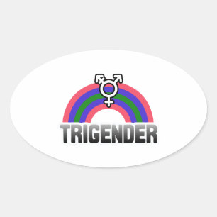 Adesivo Oval Trigender Pride
