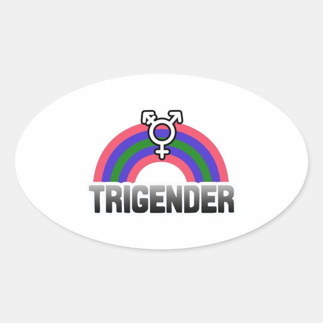 Adesivo Oval Trigender Pride (Frente)