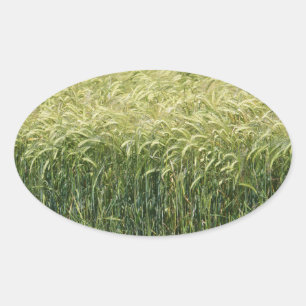 Adesivo Oval Trigo - Saboroso!