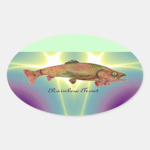 ADESIVO OVAL TROUXE DE RAINBOW COLORIDO