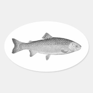 Adesivo Oval Truta do vintage