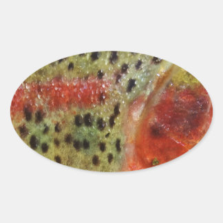 Adesivo Oval Truta em Mãos