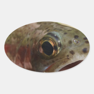 Adesivo Oval Truta nas Mãos