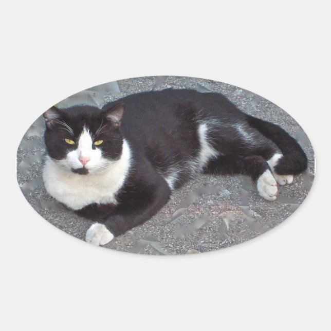 Adesivo Oval Tuxedo Cat Sticker (Frente)