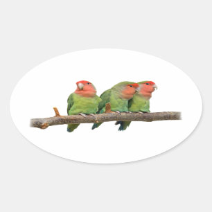 Adesivo Oval Tweet Trio Sticker