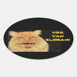 Adesivo Oval Use Yah Blinkah diz Boston Kittah