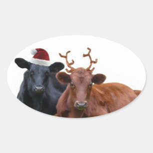 Adesivo Oval Vacas de Natal em Santa Hat e Antlers