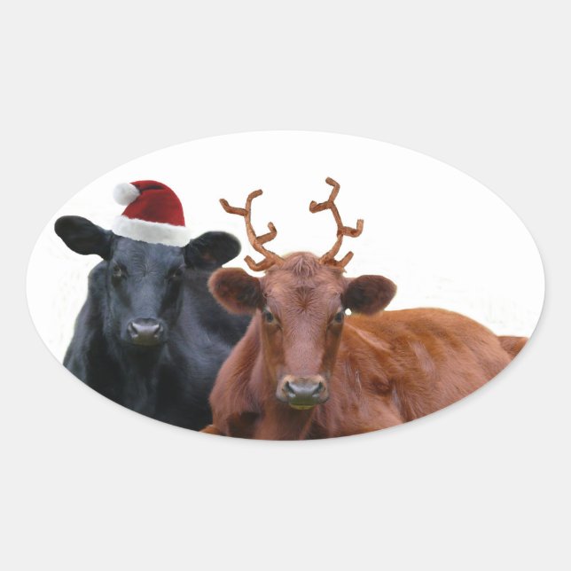 Adesivo Oval Vacas de Natal em Santa Hat e Antlers (Frente)