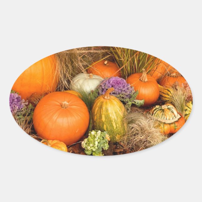 Adesivo Oval Várias bombas (Frente)