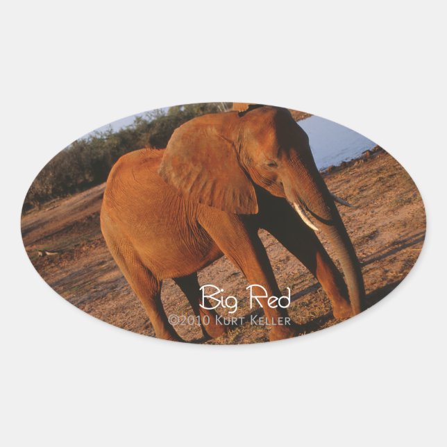 Adesivo Oval Vermelho Grande (Frente)