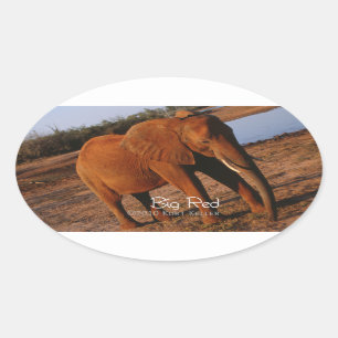 Adesivo Oval Vermelho Grande