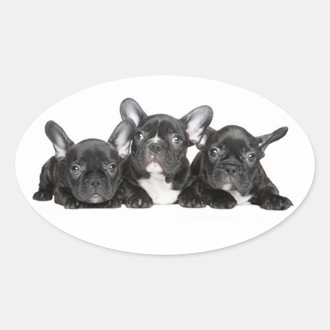 Adesivo Oval Vinheta-Cachorro-Cachorro-Branca/Selo (Frente)