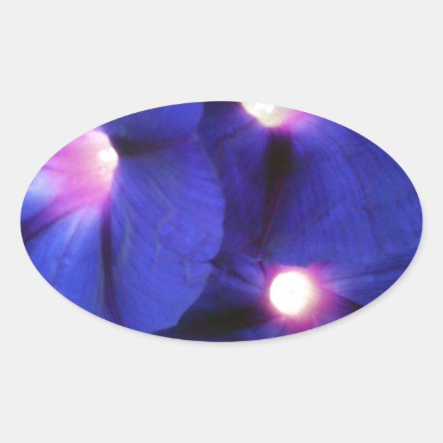 Adesivo Oval Vinheta Oval Floral (Frente)