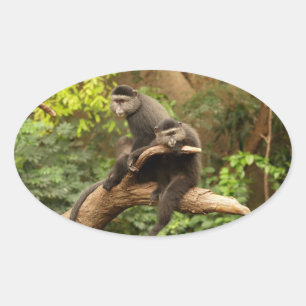 Adesivo Oval Vinheta Oval Macaco