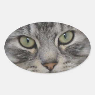 Adesivo Oval Vinhetas De Oval De Gato Persa De Prata