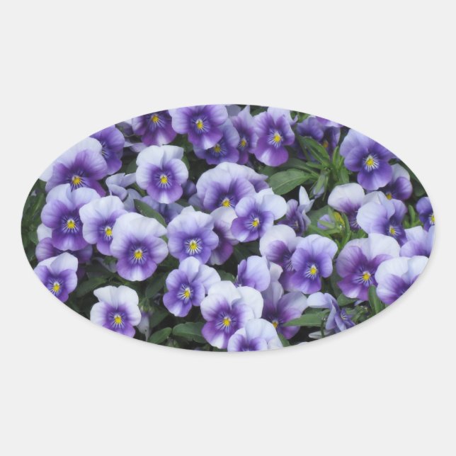Adesivo Oval Vinhetas para violetas (Frente)