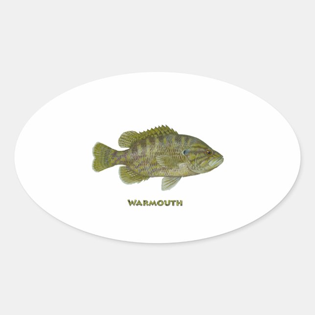 Adesivo Oval Warmouth Bass (Frente)
