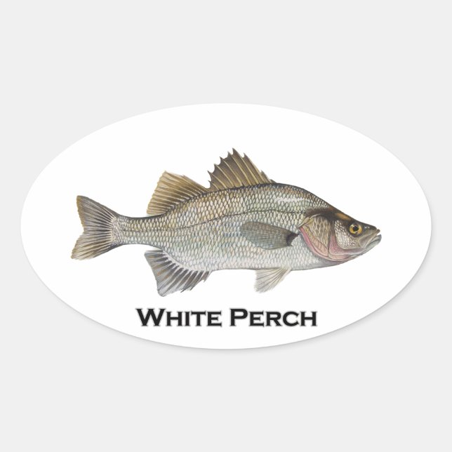 Adesivo Oval White Perch (Frente)