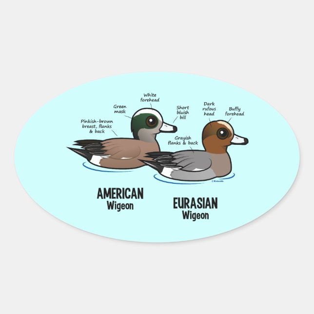 Adesivo Oval Wigeon vs Wigeon (Frente)
