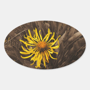 Adesivo Oval Wildflowers do amarelo do tom do Sepia