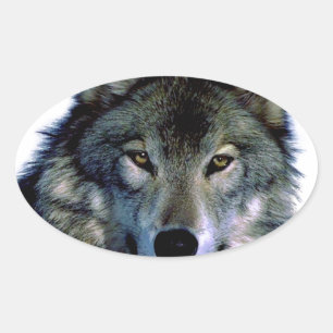 Adesivo Oval Wolf Portrait