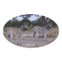 Zebra Double Take Foto