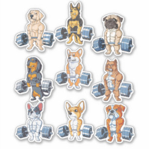 Adesivo Pack Dog Gym Lover - Engraçado Gym Lover Pack 6