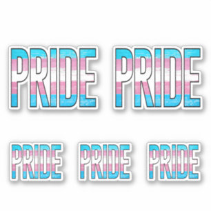 Adesivo Palavra de Orgulho Trans