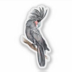 Adesivo Palm Cockatoo Vinheta-Vinho Com Corte Personalizad
