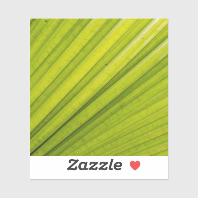 Adesivo Palm Leaf (Folha)