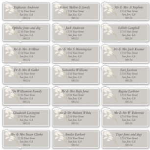 Adesivo Pampas brancas de marfim legante